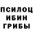 Галлюциногенные грибы мицелий Square Byte