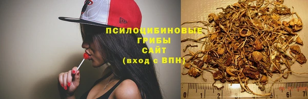 винт Беломорск