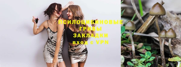 наркотики Белокуриха