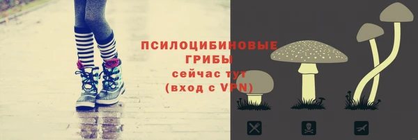 наркотики Белокуриха