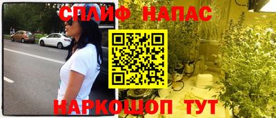 крисы Беслан