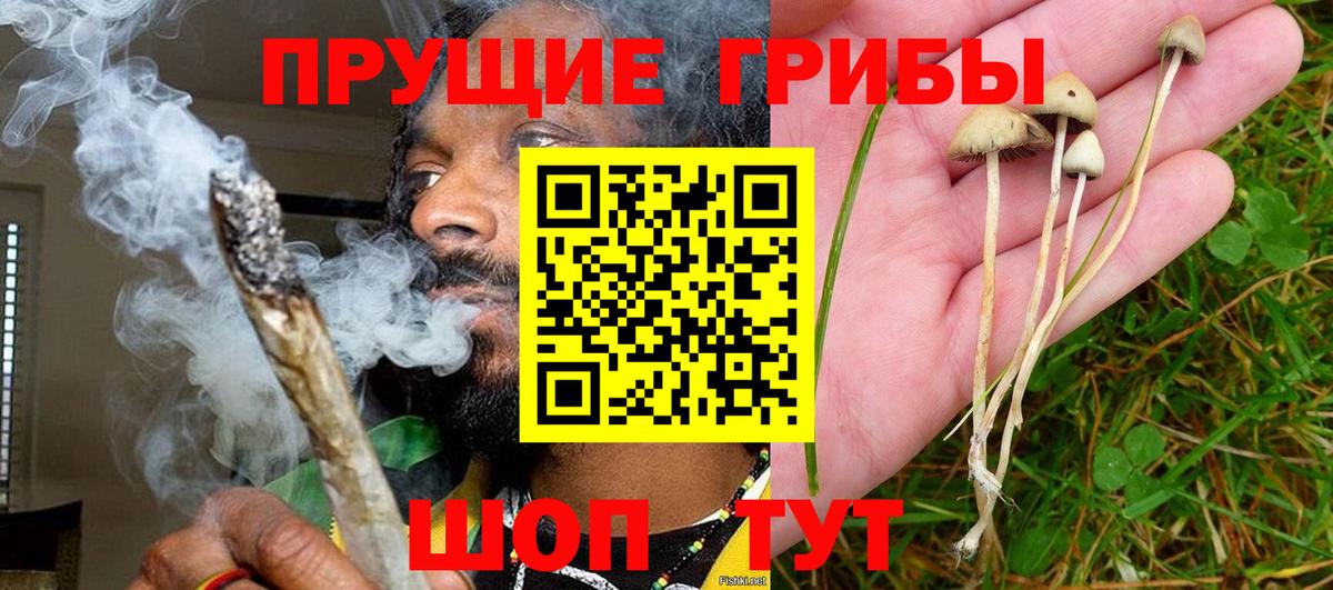 Галлюциногенные грибы мухоморы  Вход с VPN  Гусев 